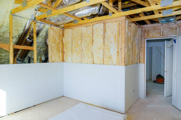 Best Specialized Insulation Services in Fort Washakie, WY